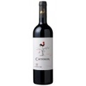 la-ronciere-carmenere-2010-cantoalba la ronciere cantoalba carmenere