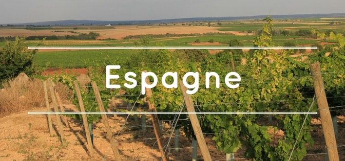 continent-du-vin-importateur-de-vins-despagne