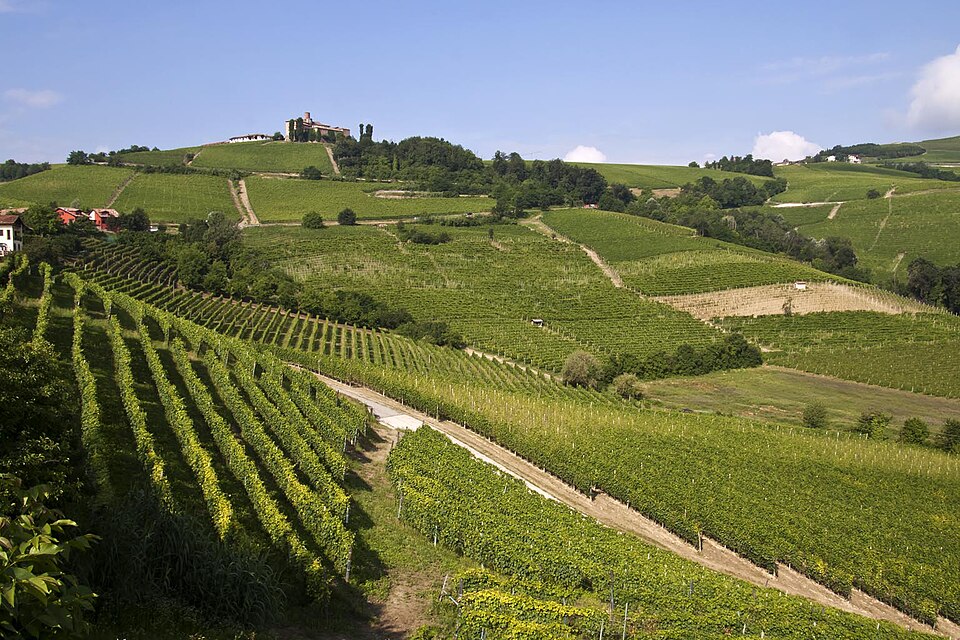 Paysage caractéristique des Langhe