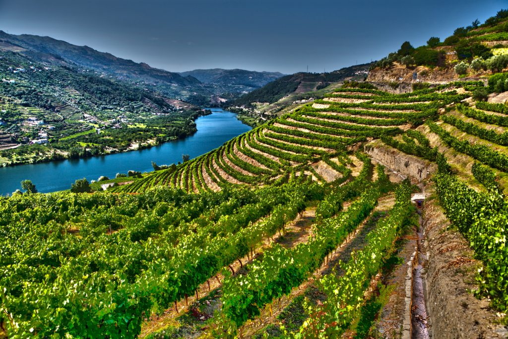 Illustration des vignes de la vallée du Douro